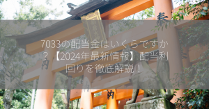 7033の配当金はいくらですか？【2024年最新情報】配当利回りを徹底解説！