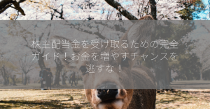 株主配当金を受け取るための完全ガイド！お金を増やすチャンスを逃すな！